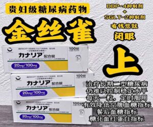 二糖降糖药金丝雀曲格列汀卡格列净